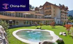 Outdoor swimming pool in-groundconcretechild's