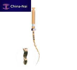 Rotary endodontic file E01for root canal treatmentNiTi