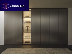 Contemporary wardrobe GLISS MASTER-LINEAR DOORSwoodenglassbronze