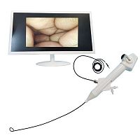 Single use video ureteroscope Ureter Flexible Nephroscope