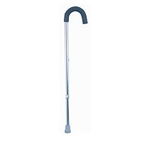 Walking stick 100314-000