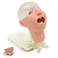 Dental care patient simulator MW29head
