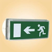Emergency lighting CZ0264 seriesfluorescent tubeIP66explosion-proof