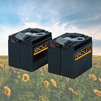 UPS battery