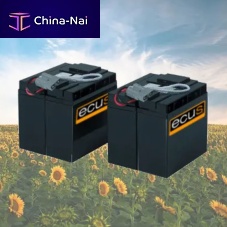 UPS battery