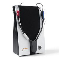 Fitting analysis hearing aid adjustment system Trumpetfor speech mapping