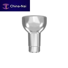Titanium implant abutment EASYLEARN internalstraighttemporary