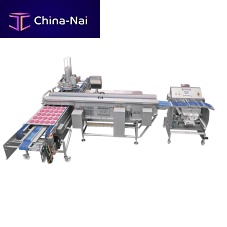 Tray loading system 600R+Tfor the food industry