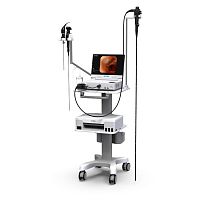 Video veterinary bronchoscope VHP-1315for small animalsfor large animalsfor dogs