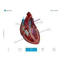 Medical software Coursewareanatomymanagement3D viewing