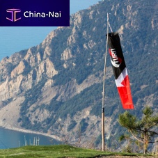 Paragliding windsock with mast