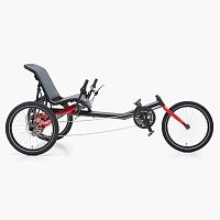 Crank-propelled recumbent trike TRIGOadult
