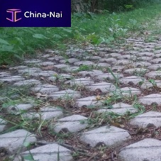 Concrete grass grid