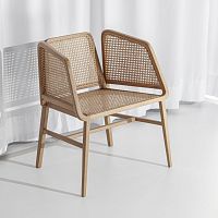 Contemporary chair BEE indooroakash