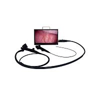 Endoscopy display BVI16 Vet