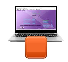 Medical software Reaction Time SuiteEEGEMGanalysis