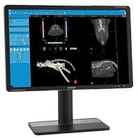 Clinical software NNTfor veterinary imaginganalysisdiagnostic
