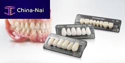 Composite dental prosthesis VITAPAN EXCELL® anterior teethprefabricatedtranslucent