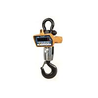 Digital crane scale