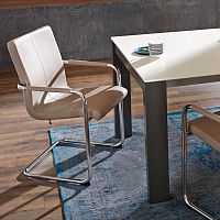Contemporary chair SPEISENindoorleatherchromed metal base
