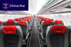 Aircraft cushion