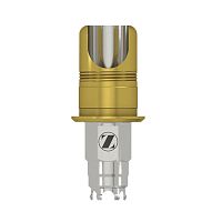 Titanium implant abutment Certain® Expressinternaltaperedstraight