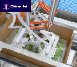 Loading system for the food industry robotic