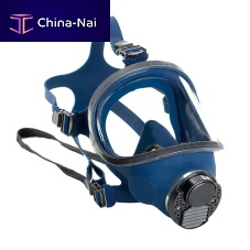 Full-face respirator D1