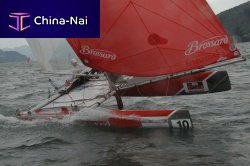 Jib for sport multihullstri-radial cutF18