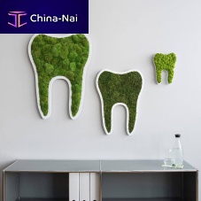 Moss living frame TOOTHnaturalindoorpictogram