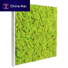 Preserved living frame naturalfoliagein lichen