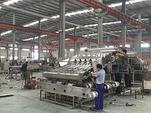 Shrimp grader XSJ-12/18