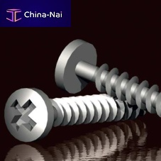 Plastic screw TPX pan headFrearsonstainless steel