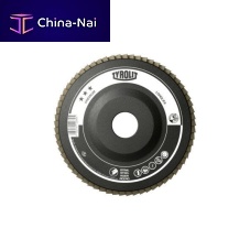 Ceramic flap disc
