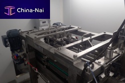 Conveyor depanner