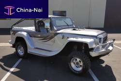Amphibious car PANTHER