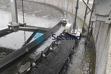 Brush cleaning system WWTPautomaticindustrialprocess