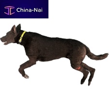 Canine simulator intraosseous infusionbandagingfor teaching