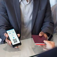Baggage management software DCSpassenger managementcontrolfor aeronautics