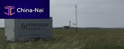 Radar bird detection system fixedfor airport runway