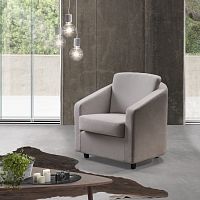Contemporary armchair Believefabricleatherwooden