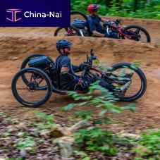 Crank-propelled recumbent trike ATH-FSadultmagnesiumblack