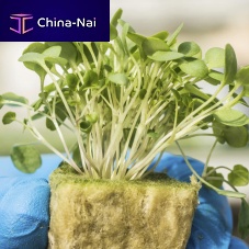 Mineral wool growing medium AO PLUGplugfor organic farming
