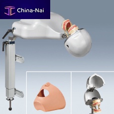 Dental care patient simulator PK-1 TLhead