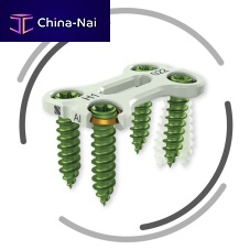 Cervical arthrodesis plate ASCOTlocking