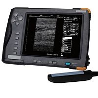 Portable veterinary ultrasound system SIFULTRAS-4.2multipurposefor large animalsfor pets