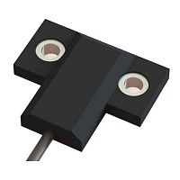 2 screws strain sensor 460/2