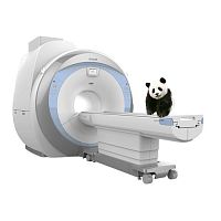 Veterinary MRI system