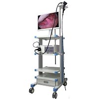 Video veterinary gastroscope VED-8800
