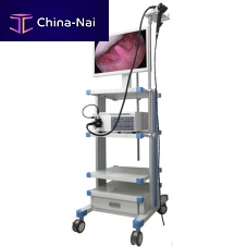Video veterinary gastroscope VED-8800